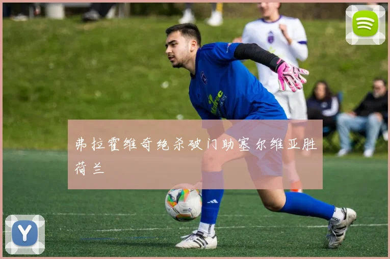 弗拉霍维奇绝杀破门助塞尔维亚胜荷兰