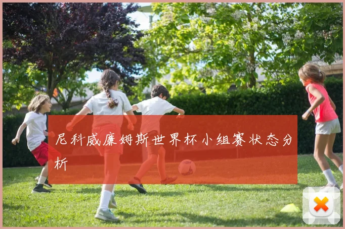 尼科威廉姆斯世界杯小组赛状态分析