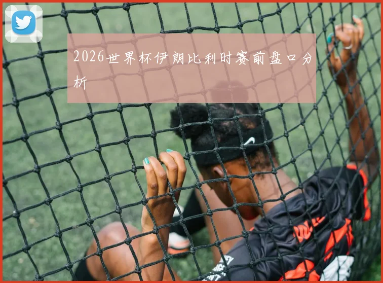 2026世界杯伊朗比利时赛前盘口分析