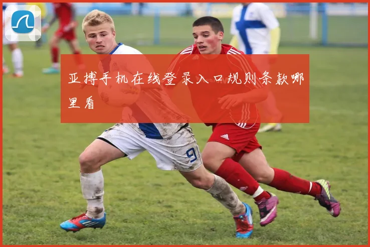 亚搏手机在线登录入口规则条款哪里看